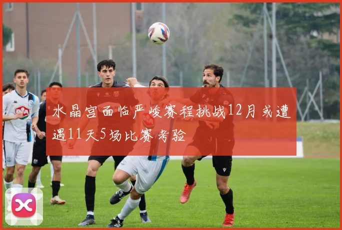 水晶宫面临严峻赛程挑战12月或遭遇11天5场比赛考验