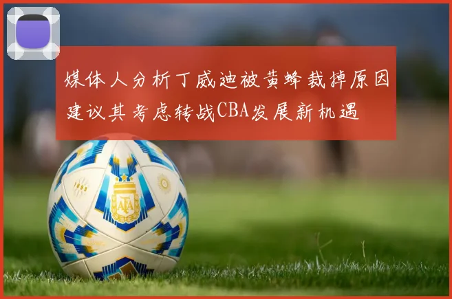 媒体人分析丁威迪被黄蜂裁掉原因建议其考虑转战CBA发展新机遇