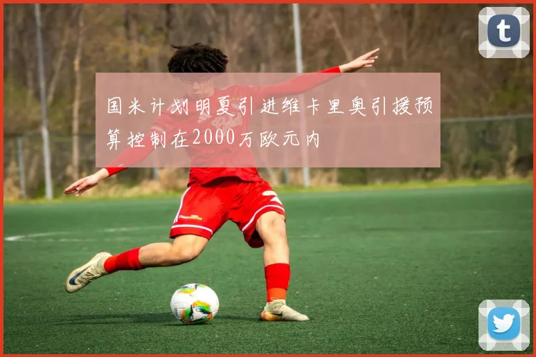 国米计划明夏引进维卡里奥引援预算控制在2000万欧元内